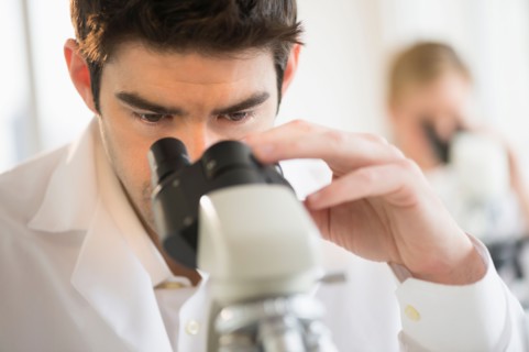 Scientist doing research on microscopes.