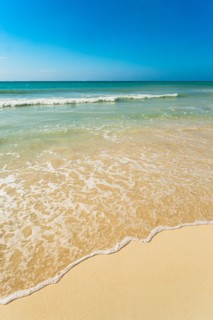 Seascape. Jamaica.