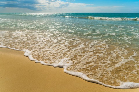 Seascape. Jamaica.