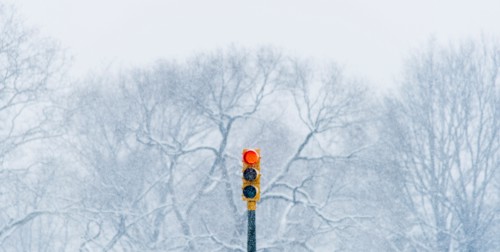 Red stoplight with winter trees in background. USA, New York State, New York.