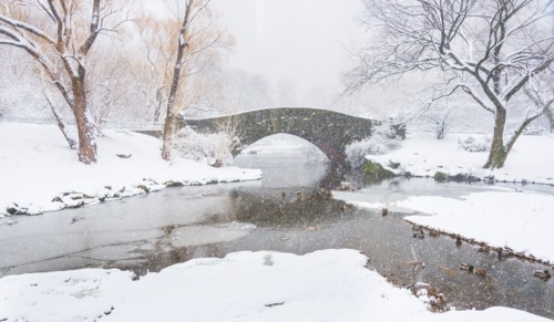Central Park, Gapstow Bridge in winter. USA, New York State, New York.