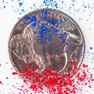 Studio shot of dollar coin.