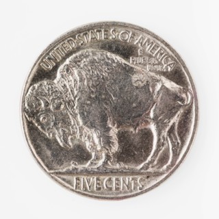 Studio shot of dollar coin.