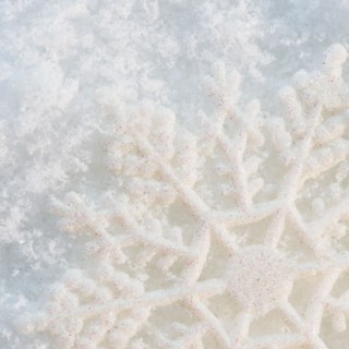 Close-up view of snowflake