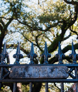 Close up of fence, tree in background