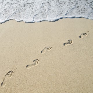 Footprints on Sandy Beach leading into sea