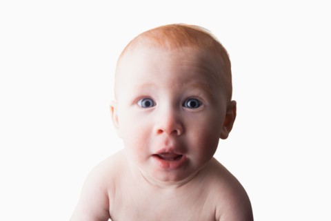 Studio shot portrait of surprised baby boy (18-23 months)