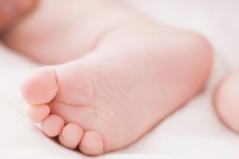 close up of baby`s foot (18-23 months)