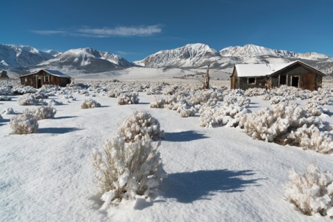 Mono Lake, View at old homestead