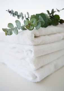 Studio Shot of folded towels and eucalyptus on top