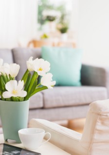 Vase with flowers and digital tablet on coffee table by sofa