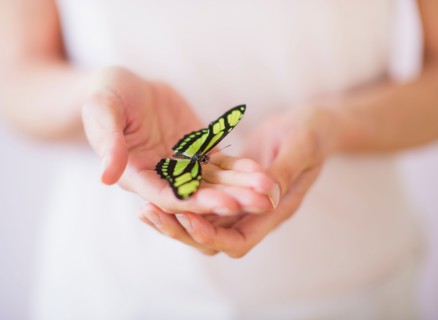 Studio Shot of woman's hands holding butterfly