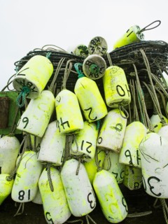 Stack of nets
