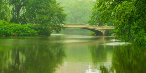 Central Park, New York City. Bridge in central park.