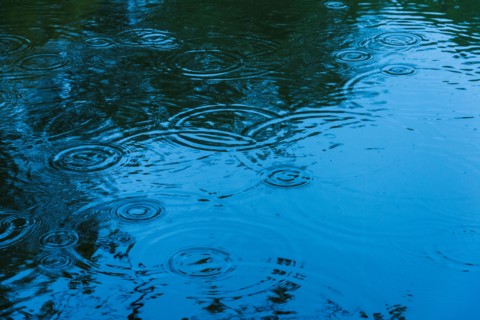 Central Park, New York City. Droplets splashing on lake surface.