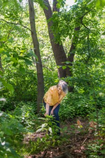 Central Park, New York City. Senior woman hiking in forest.