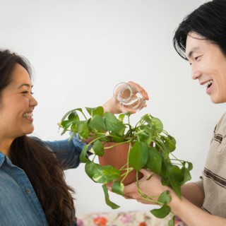 Young woman watering potted plant held by man