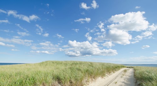Coastline