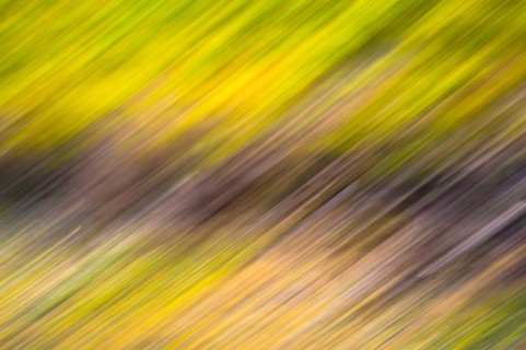 Golden abstract