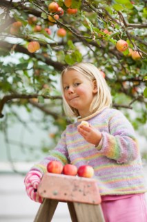 Girl (2-3) tasting apple