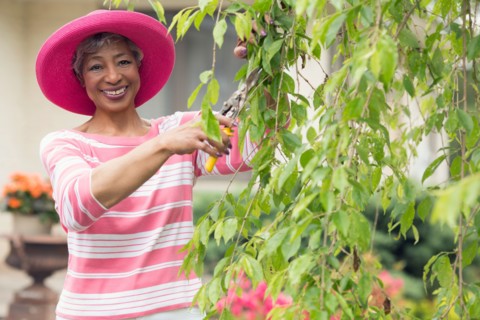 Portrait of senior woman pruning branch