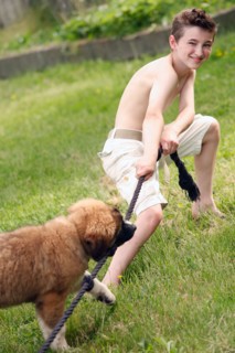 Boy (12-13) and his dog playing with rope