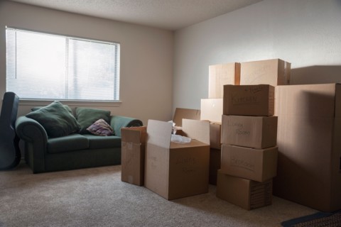 Living room filled with cardboard boxes