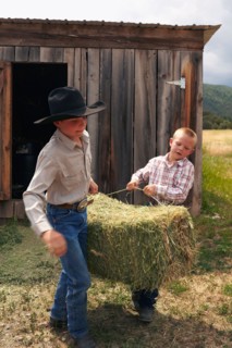 Boys collecting hay