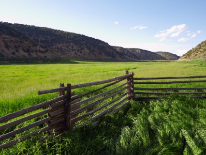Ranch among fields