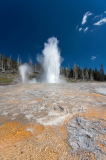 Upper Geyser Basin