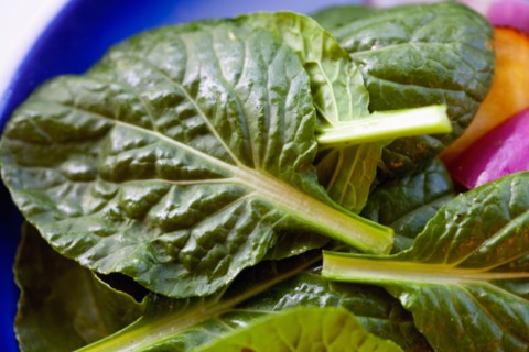 Tatsoi greens
