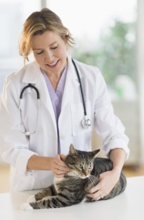 Female vet with cat.