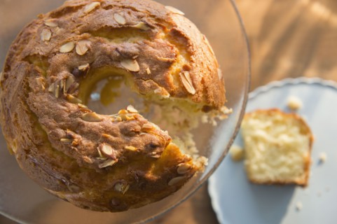 Studio Shot of bundt cake.
Photo : Jamie Grill