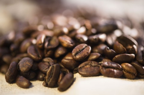 Studio Shot of roasted coffee beans.
Photo : Jamie Grill