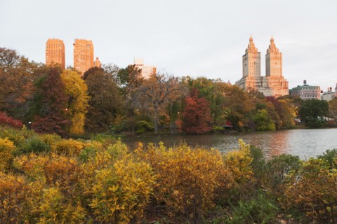 View of Central Park in autumn. USA, New York State, New York City.
Photo : fotog