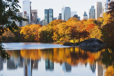 View of Central Park in autumn. USA, New York State, New York City.
Photo : fotog