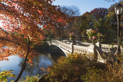 Footbridge over lake in Central Park. USA, New York State, New York City.
Photo : fotog
