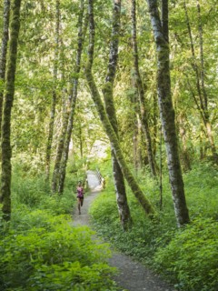 Young women jogging in forest. USA, Oregon, Portland.
