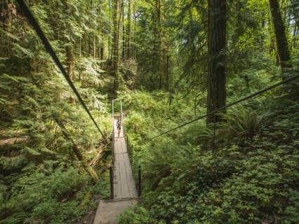Young woman jogging in forest. USA, Oregon, Portland.