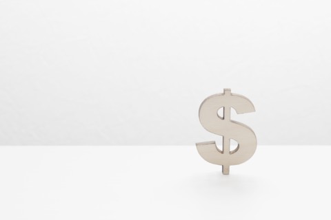 Dollar sign.
Photo : Kristin Lee