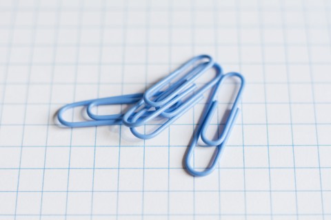 Paper clips.
Photo : Kristin Lee