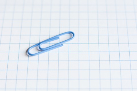 Paper clip.
Photo : Kristin Lee