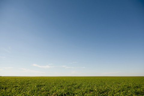 Rural landscape.
Photo : Kristin Lee