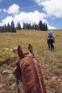Woman riding horse. USA, Western USA, Colorado.
Photo : Kelly