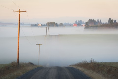 Fog over road. USA, Oregon, Marion County.
Photo : Gary Weathers