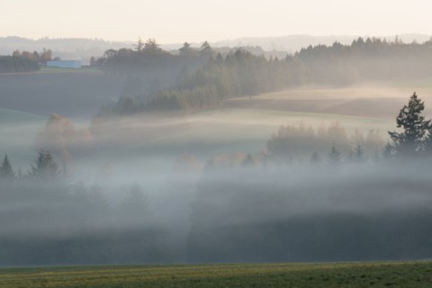 Fog over Wilamette Valley. USA, Oregon, Marion County.
Photo : Gary Weathers