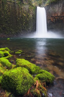 View to Abiqua falls. USA, Oregon, Marion County.
Photo : Gary Weathers