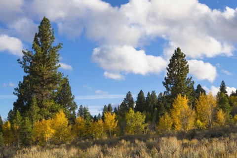 Landscape in Warner Mountains. USA, Oregon.
Photo : Gary Weathers
