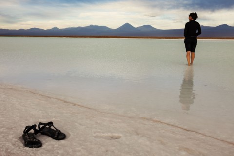 View to Laguna Tebinquiche. Chile, Antofagasta Region, Atacama Desert, Laguna Tebinquiche.
Photo :