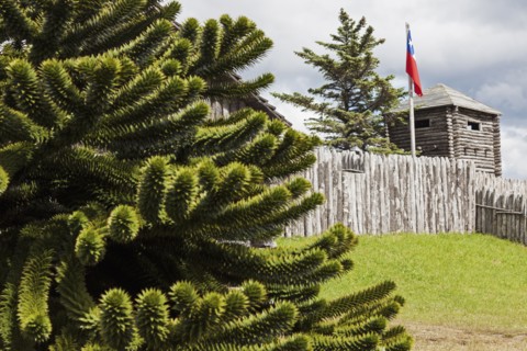 Fort Bulnes. Chile, Magallanes and Antartica, Fort Bulnes.
Photo : Henryk Sadura
